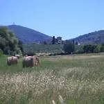 Κατάλυμα σε φάρμα Le Civette Country Bagno a Ripoli