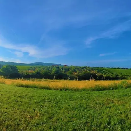 Alloggio per agriturismo Le Civette Country Bagno a Ripoli